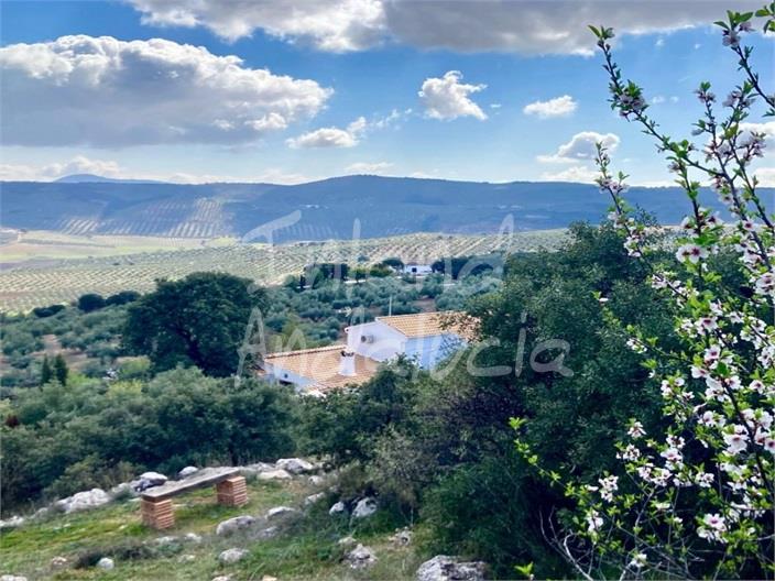 Farm, Ranch or Equestrian in Sangonera la Verde - view 1