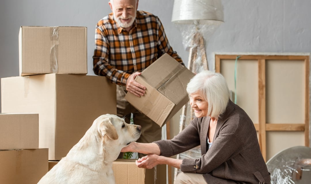 Moving to Spain with pets