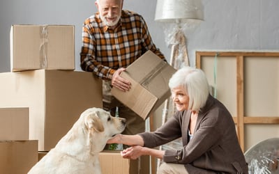 Moving to Spain with pets