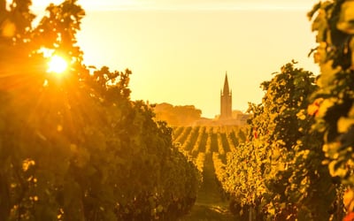 Tips for successful Viewing Trip in France