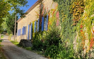 Reader story – “You really have to check it for yourself.” Lessons from a buyer in rural France